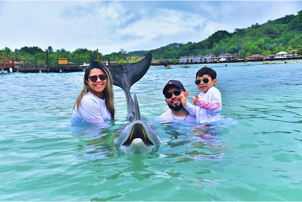 Close dolphin interaction in clear Caribbean water