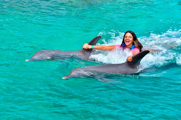 Guest swimming and snorkeling beside dolphins in Roatán